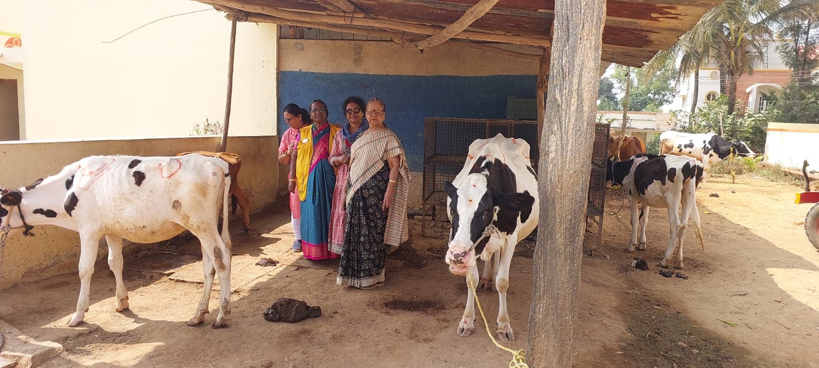 WhatsApp Image 2025-02-16 at 11.33.50 AM